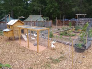 Chicken Coop at Vernonia Springs