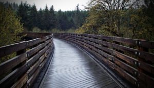 Buxton Bridge on Banks-Vernonia State Trail