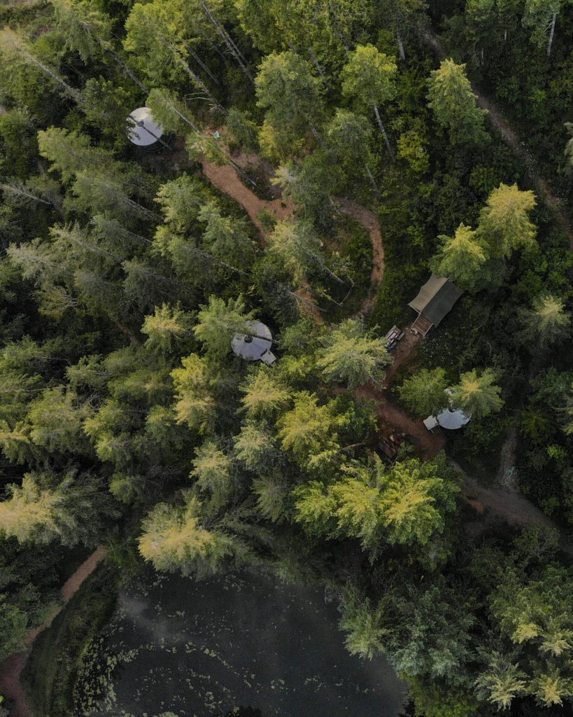 Above Vernonia Springs