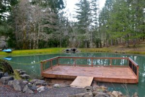 Dock on pond