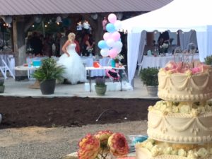 Outdoor Wedding Locations