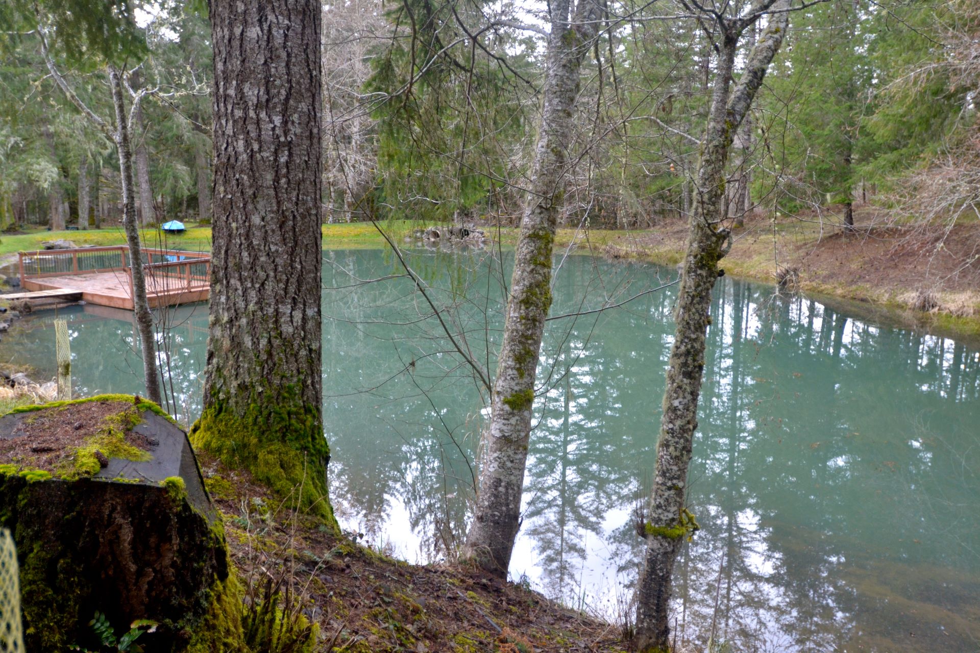 Vernonia Springs receives private park designation