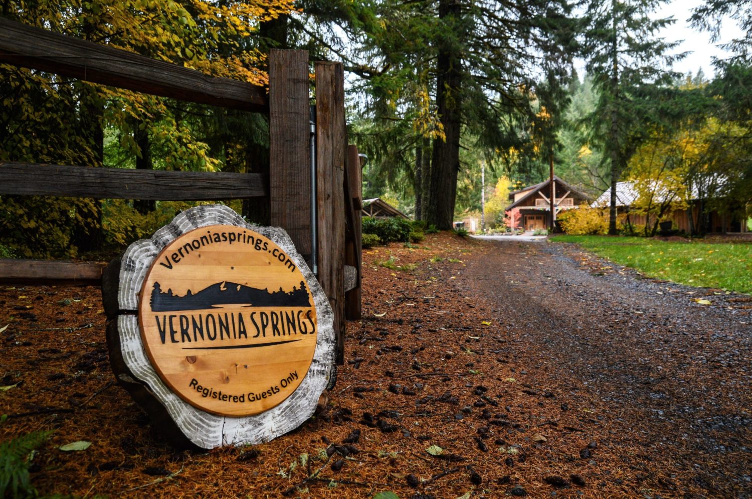 Vernonia Springs Sign