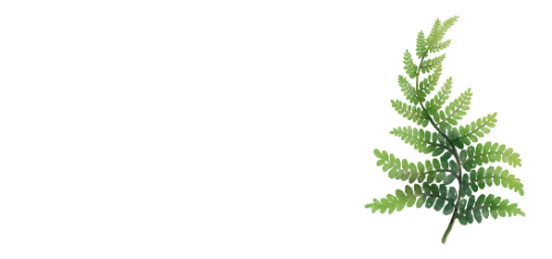 Vernonia Springs Wedding & Event Venue