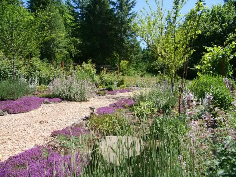 Outdoor Wedding Venues Oregon