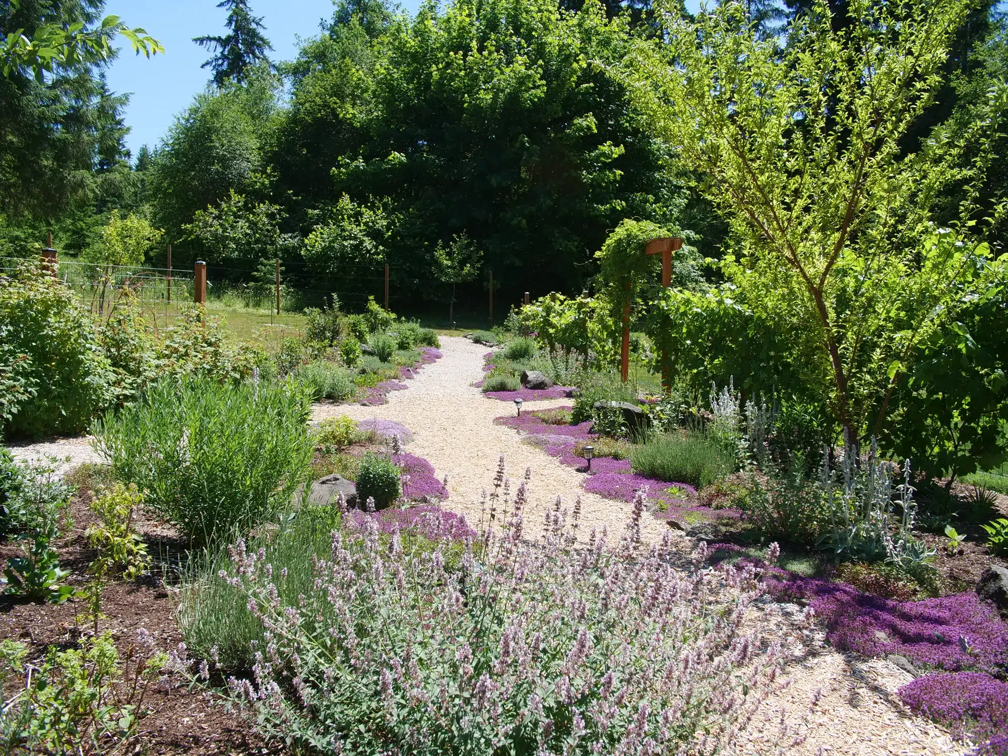 Northwest Oregon outdoor wedding venue